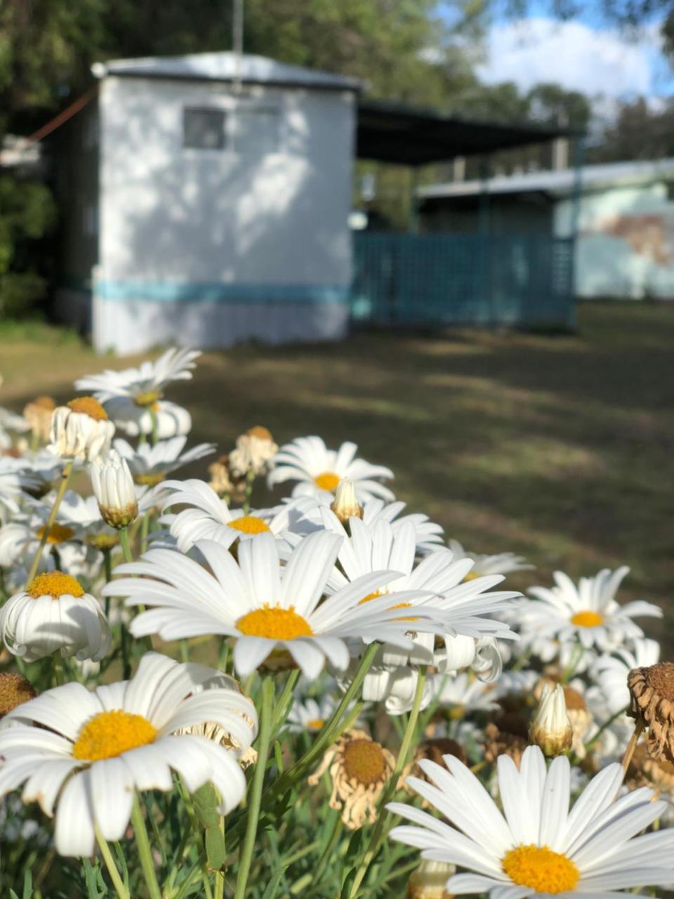 Lazy Days Caravan Park Vasse Esterno foto